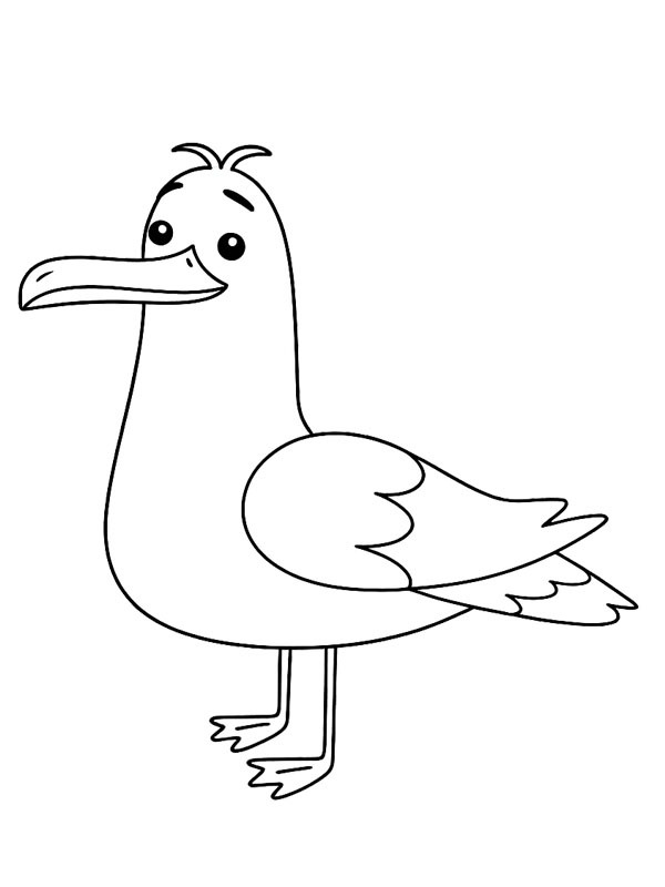 Seagull Coloring page
