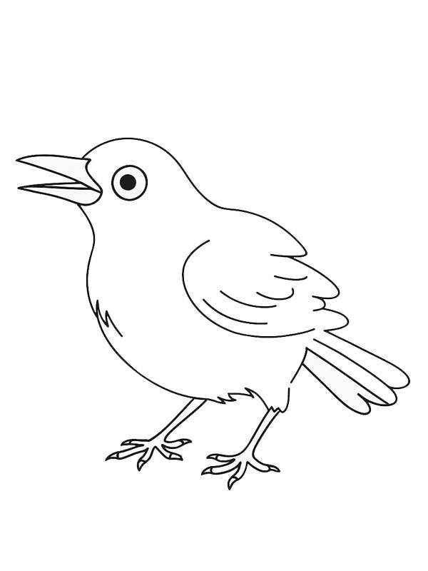 Blackbird Coloring page