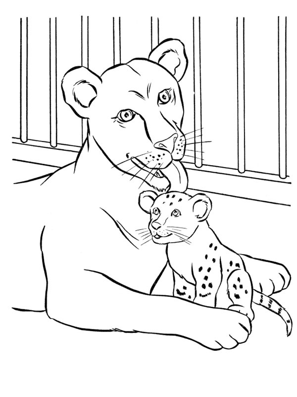 Mother lion and cub Coloring page