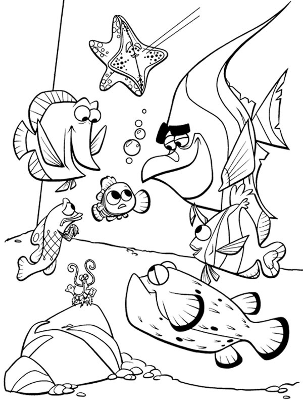 Nemo meets the other residents Coloring page Nemo meets the other residents Coloring page