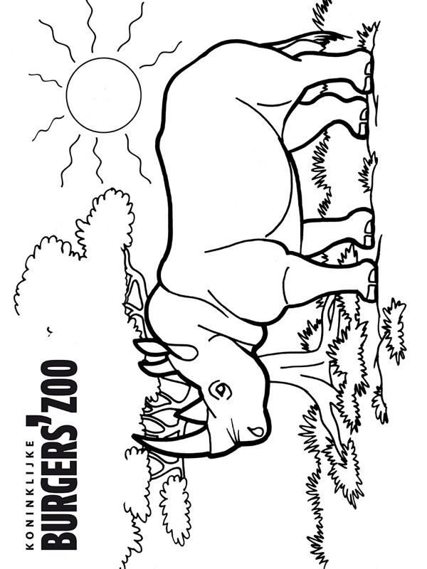 rhino at Burgers' Zoo Coloring page rhino at Burgers' Zoo Coloring page