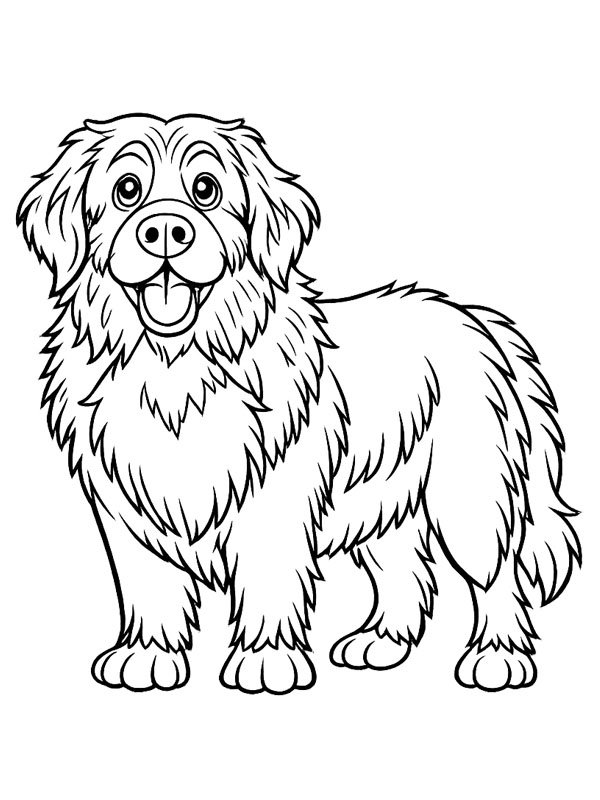 Newfoundland dog Coloring page