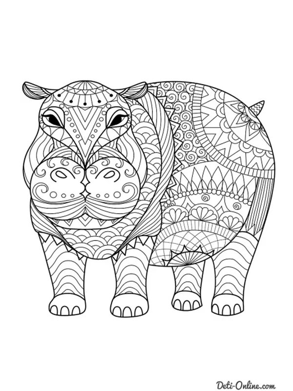 Hippopotamus for adults Coloring page