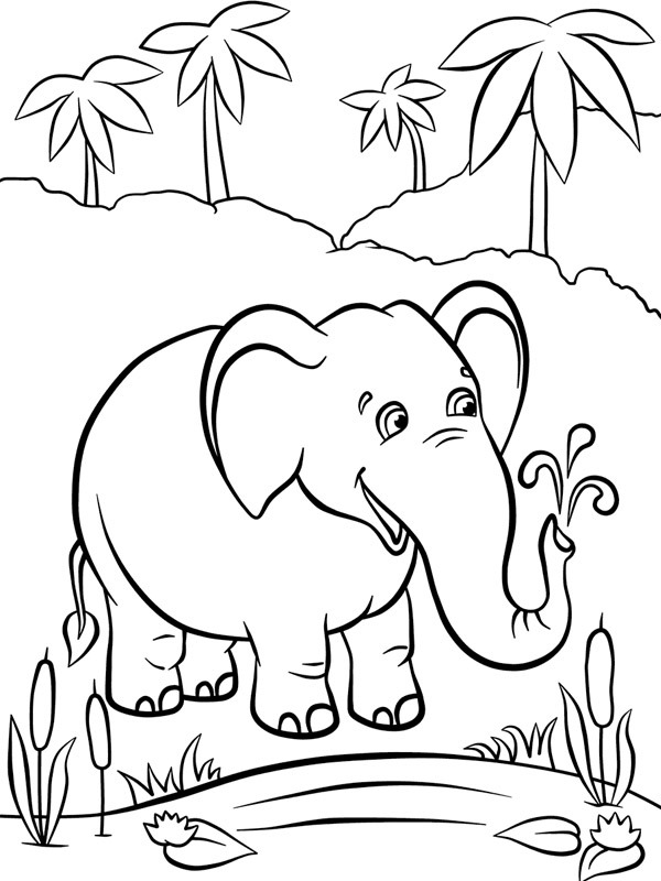 Elephant at the water Coloring page