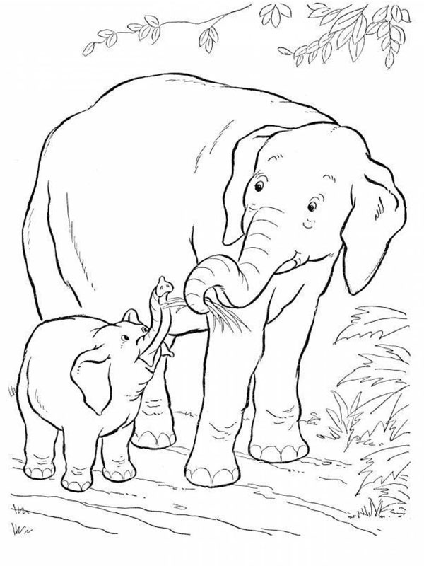 Elephant and baby elephant Coloring page Elephant and baby elephant Coloring page