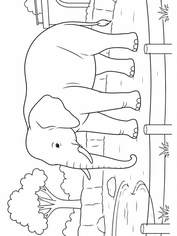 Elephant in the zoo Coloring page Elephant in the zoo Coloring page
