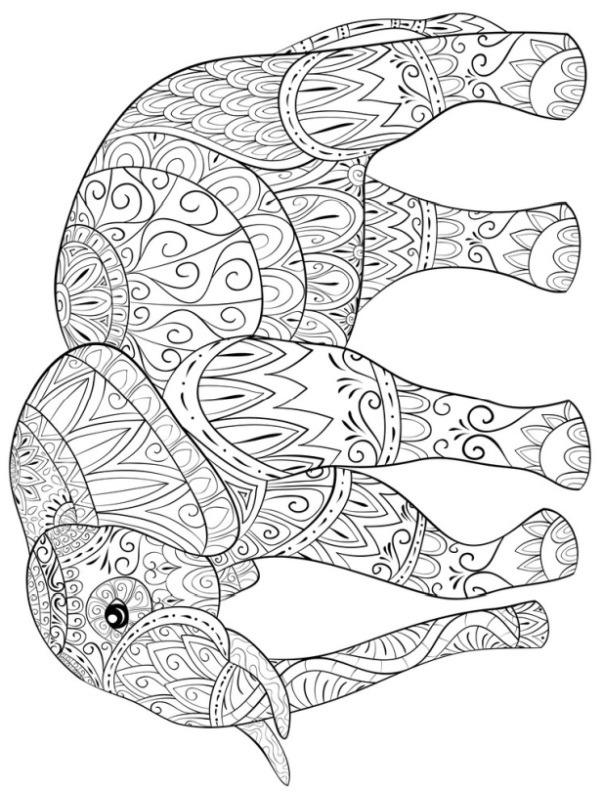 Elephant for adults Coloring page