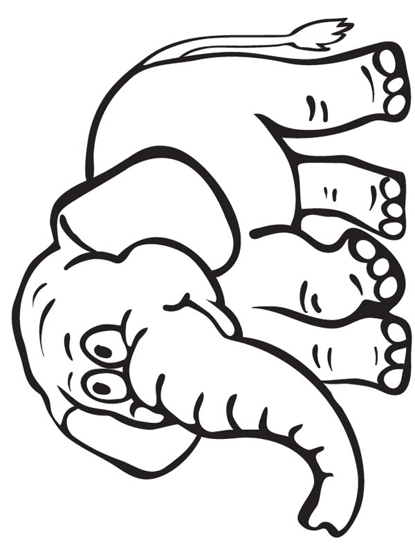 Elephant Coloring page