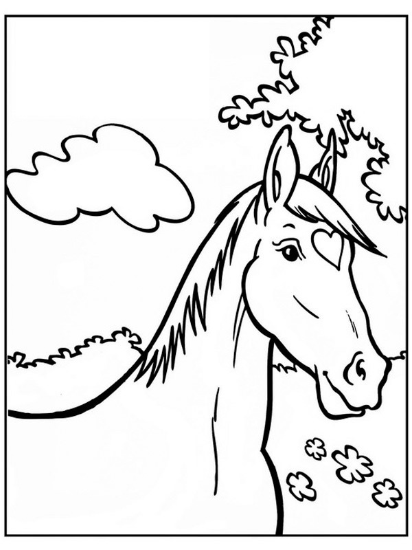 Horse Amika Coloring page