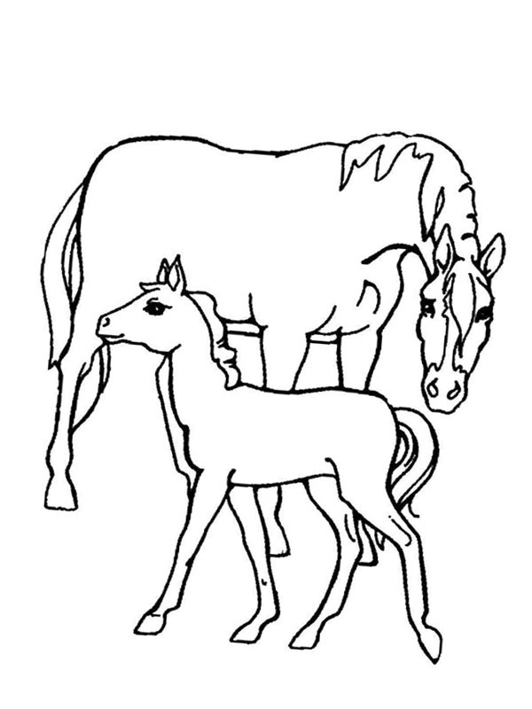 Horse and foal Coloring page