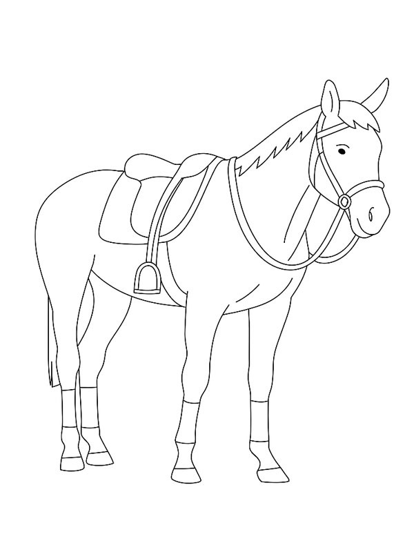 Horse Pink cockatoo Coloring page Horse Pink cockatoo Coloring page