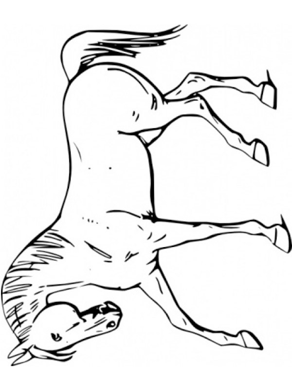 Horse Coloring page
