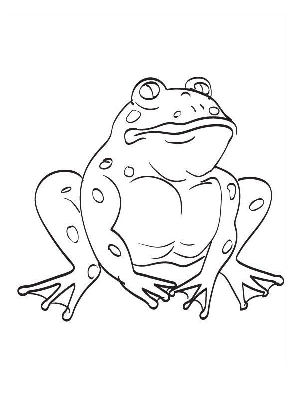 toad Coloring page