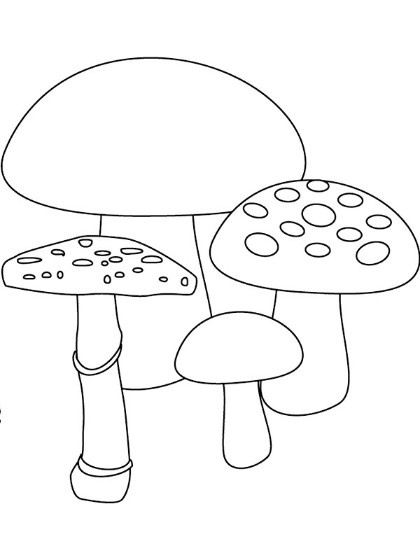 4 mushrooms Coloring page