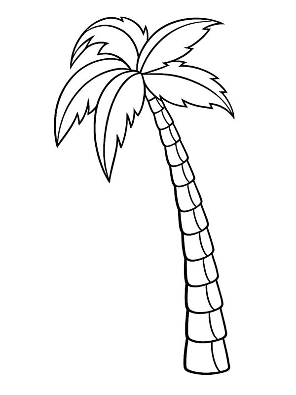 Palm tree Coloring page