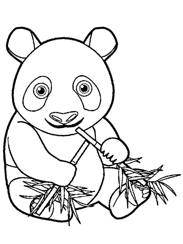 Panda eats bamboo Coloring page