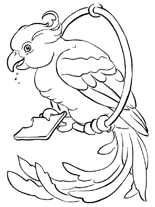Parot eating Coloring page