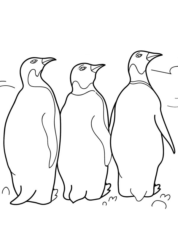 3 Penguins Coloring page