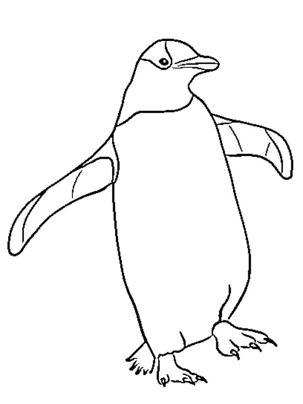 Pinguin Coloring page