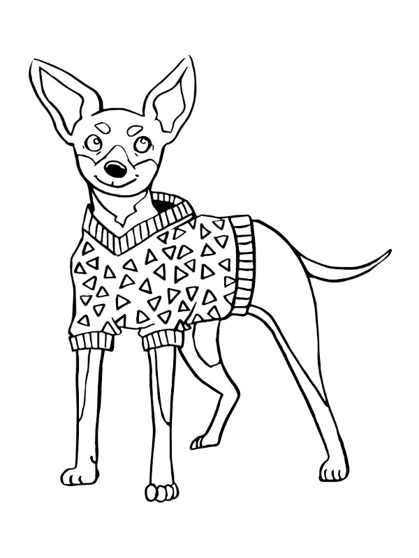 Miniature Pinscher Coloring page