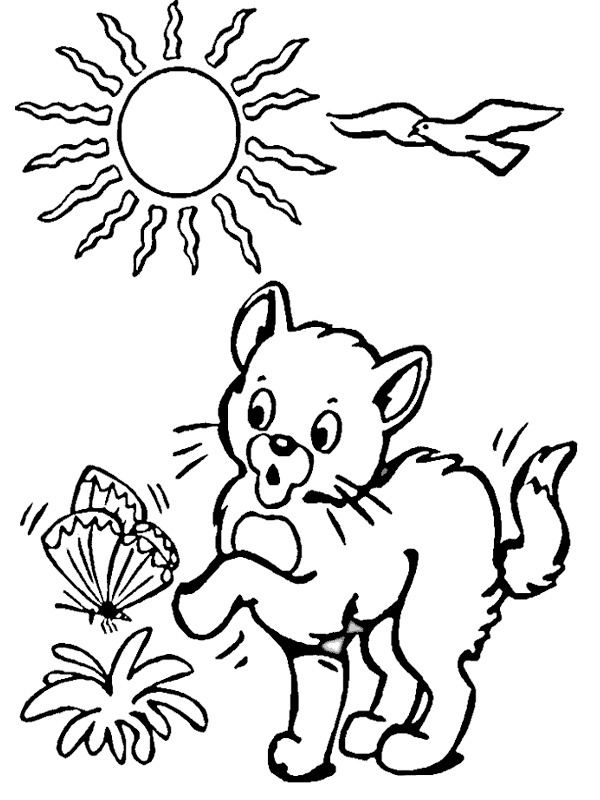 Kitten plays with butterfly Coloring page