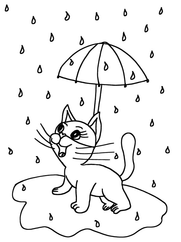 Cat in the rain Coloring page