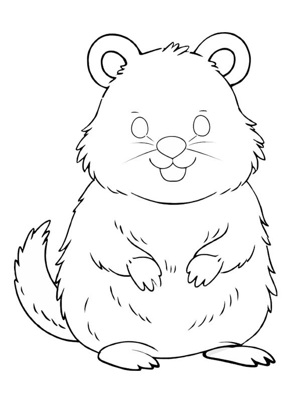 Quokka Coloring page