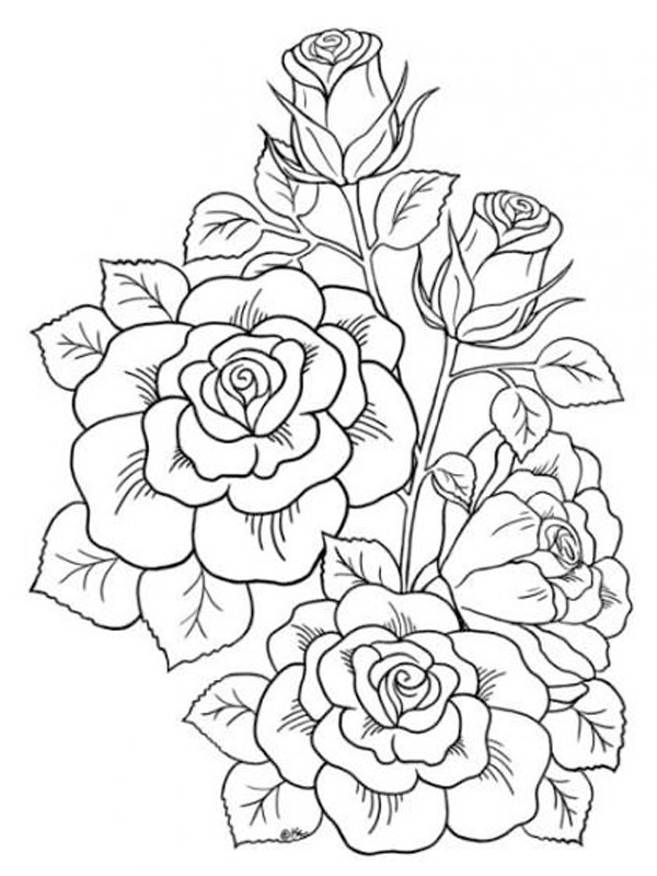 Roses tattoo Coloring page