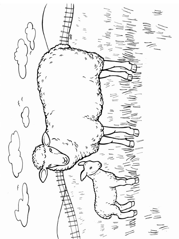 Mother sheep and lamb Coloring page