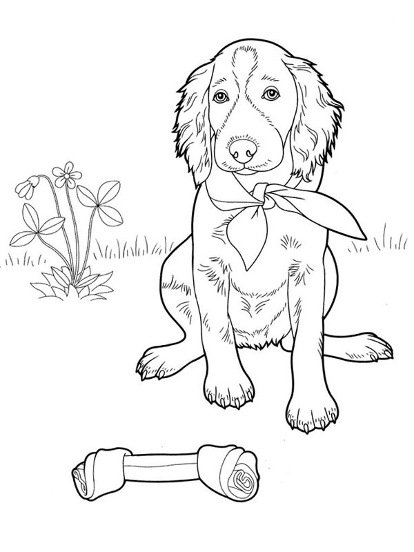 Cute dog Coloring page