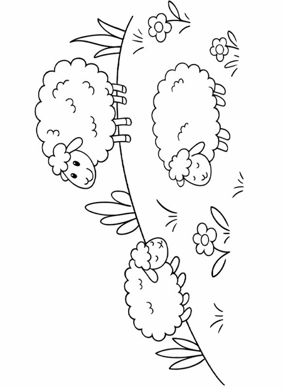 Cute sheep in the meadow Coloring page Cute sheep in the meadow Coloring page