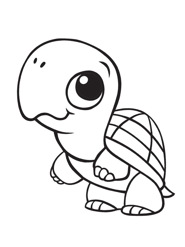 46 Cute Coloring Pages Turtle  Latest