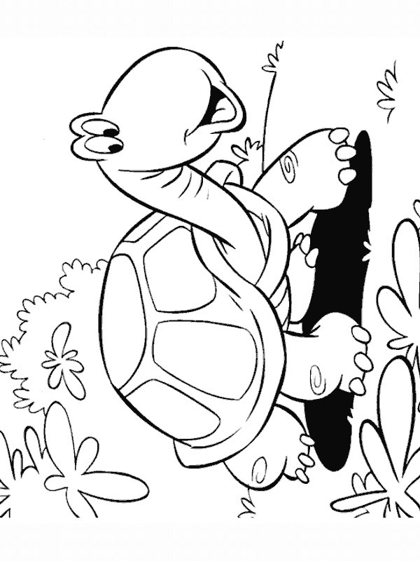 turtle goes for a walk Coloring page