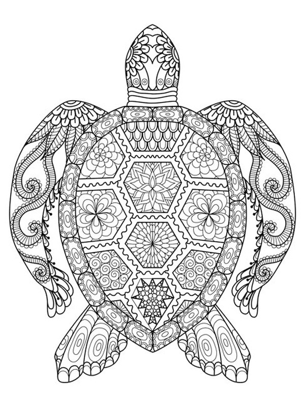 Turtle mandala tattoo Coloring page