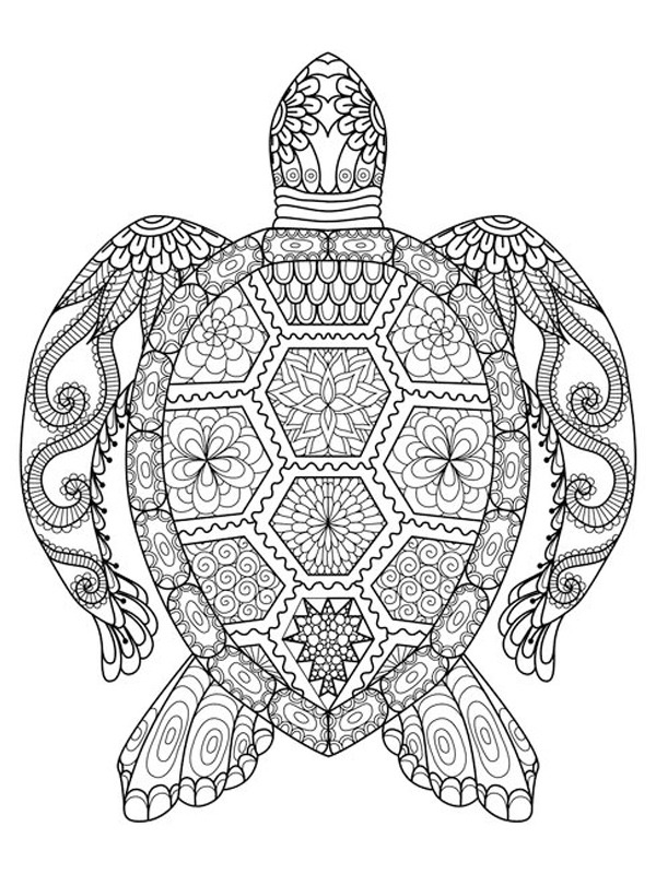 Turtle mandala tattoo Coloring page Turtle mandala tattoo Coloring page