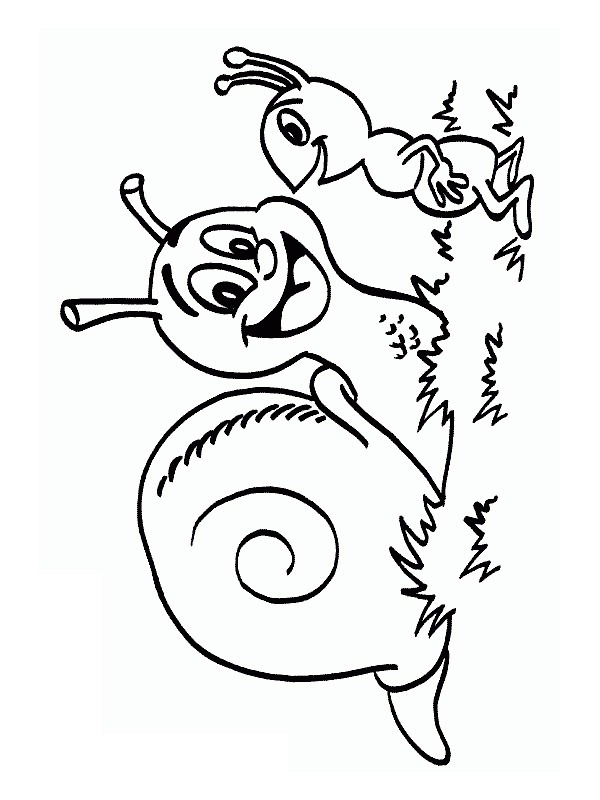 Snail with ant Coloring page