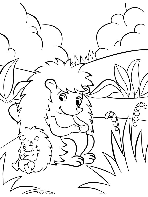 Sleeping hedgehogs Coloring page