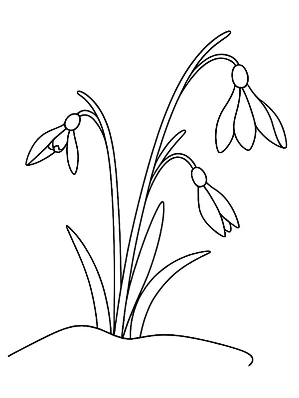 Snowdrop Flower Coloring page