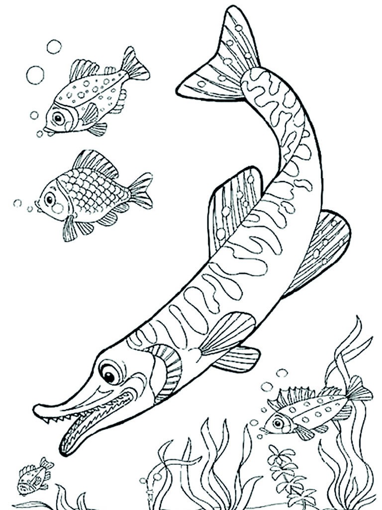 Pike Coloring page