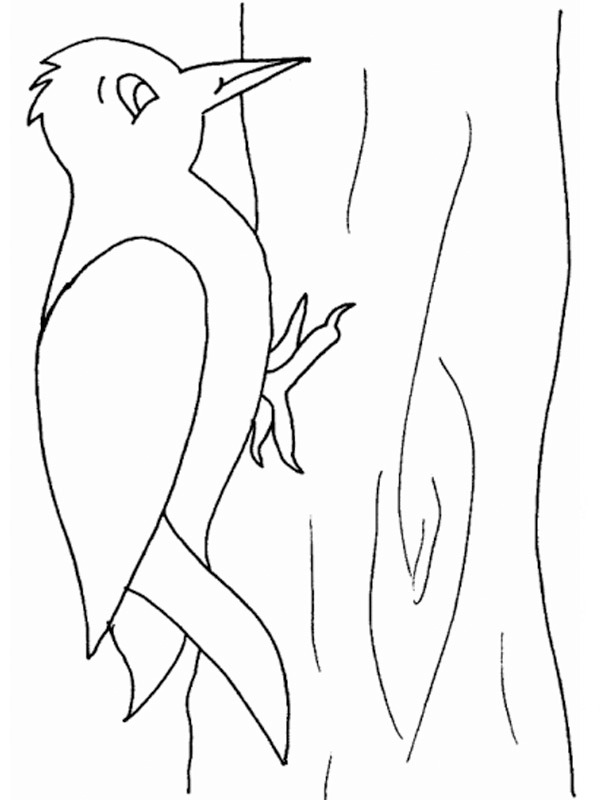 woodpecker Coloring page