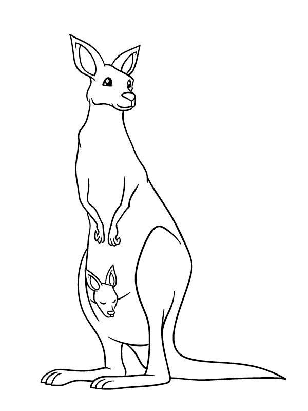 Standing kangaroo with baby Coloring page Standing kangaroo with baby Coloring page