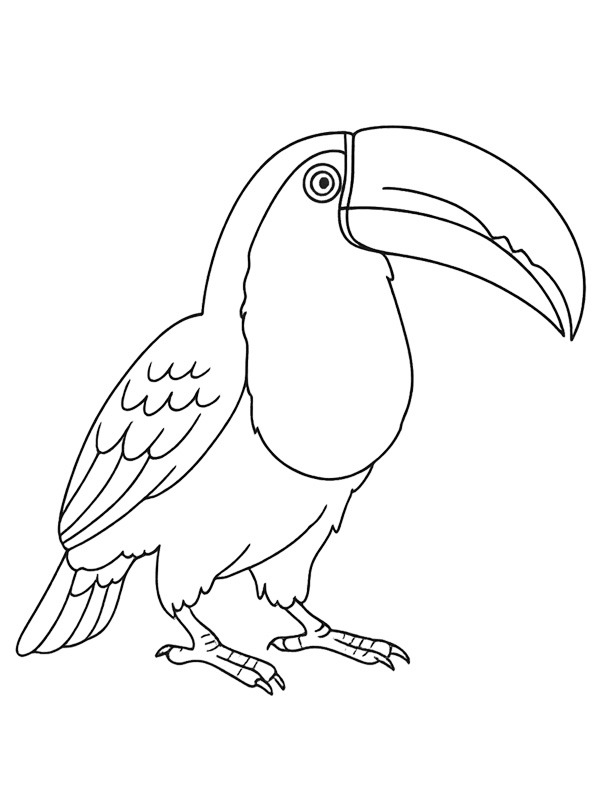 Toucan Coloring page