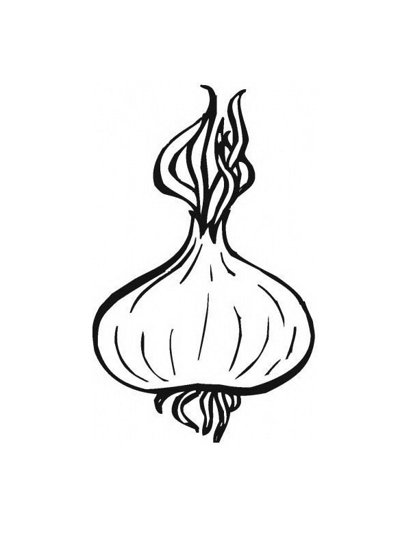 Onion Coloring page