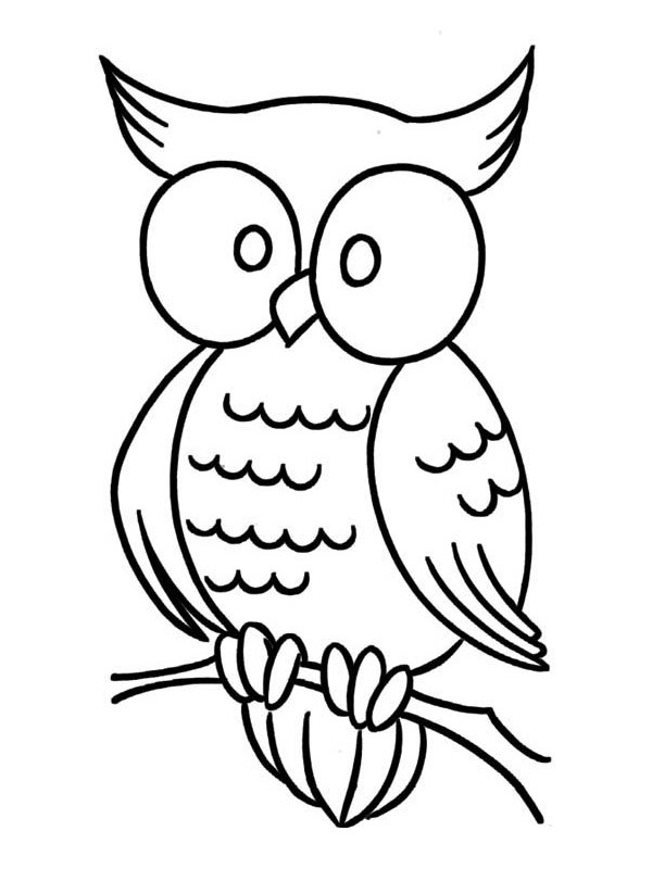 Owl Coloring page