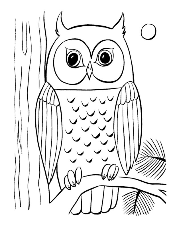 Owl in the tree Coloring page