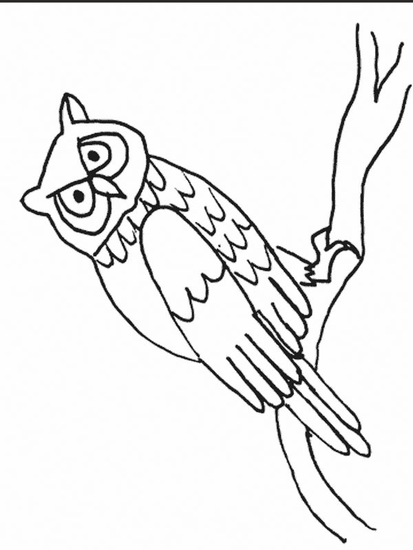 Owl Sitting On A Branch Coloring page