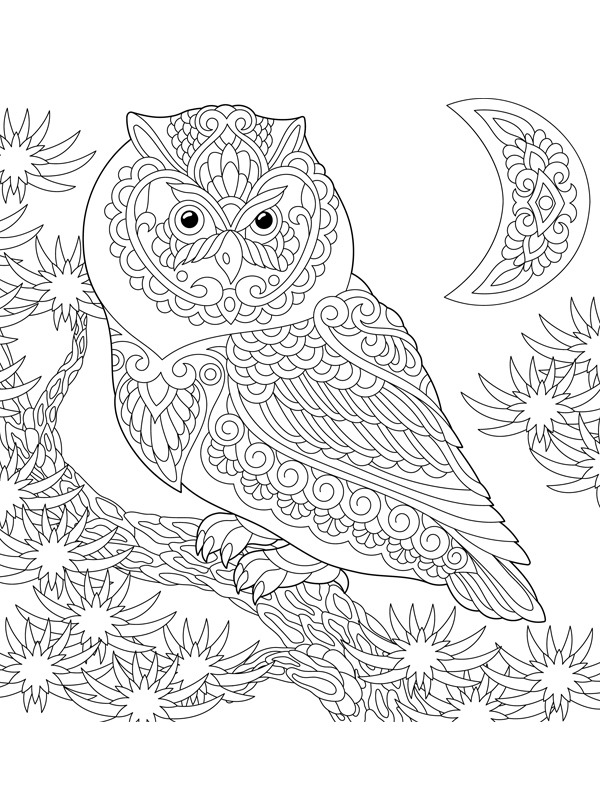 Owl for adults Coloring page