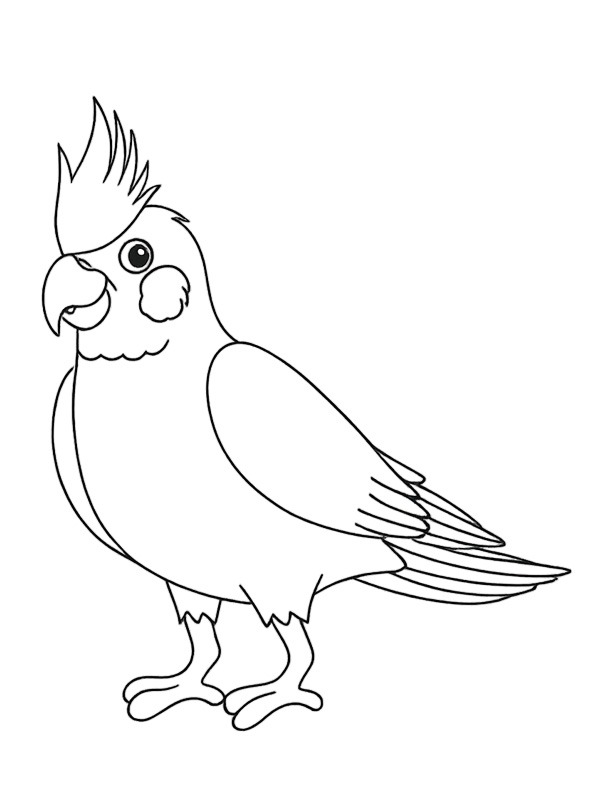Cockatiel Coloring page