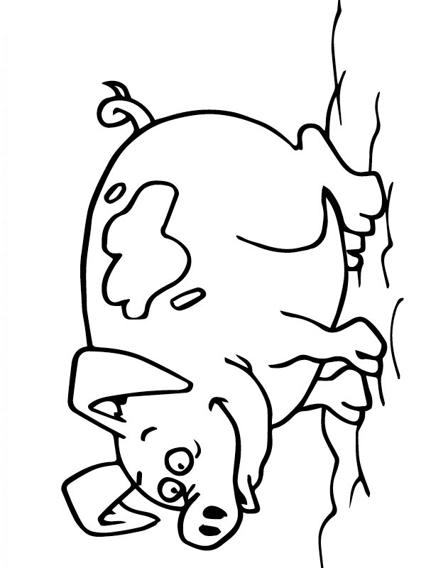 Pig Coloring page