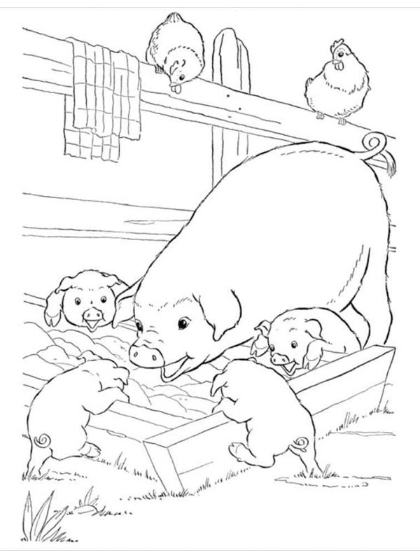 Pigs Coloring page